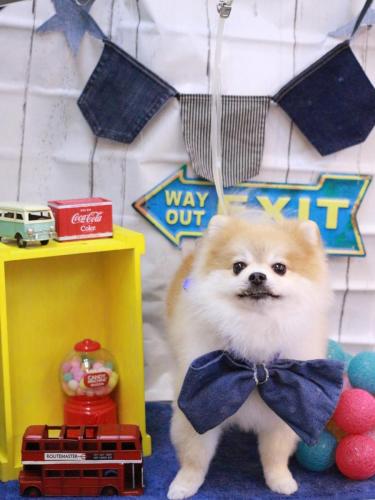 20230408モコくん